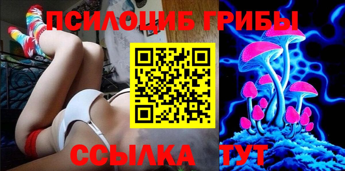 Подольск  Псилоцибиновые грибы Psilocybe  Вход с VPN 